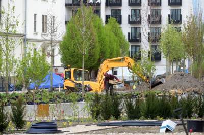 Tu będzie pięknie: Ogród Książki i park im. Wisławy Szymborskiej - zdjęcie 20