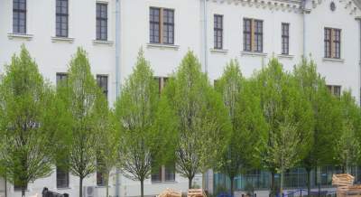 Tu będzie pięknie: Ogród Książki i park im. Wisławy Szymborskiej - zdjęcie 21