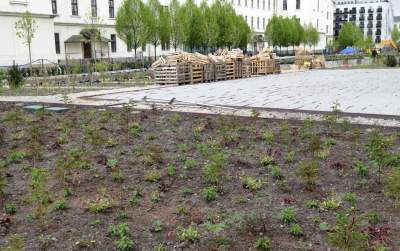 Tu będzie pięknie: Ogród Książki i park im. Wisławy Szymborskiej - zdjęcie 16