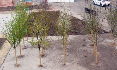 Tu będzie pięknie: Ogród Książki i park im. Wisławy Szymborskiej - zdjęcie 6