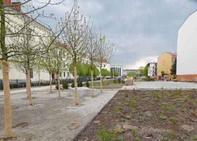 Tu będzie pięknie: Ogród Książki i park im. Wisławy Szymborskiej - zdjęcie 15