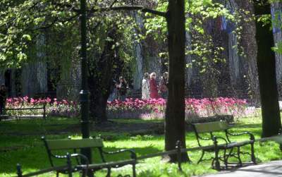 Kraków tonie w kwiatach, prawdopodobnie najładniejsza pora roku w mieście - zdjęcie 6