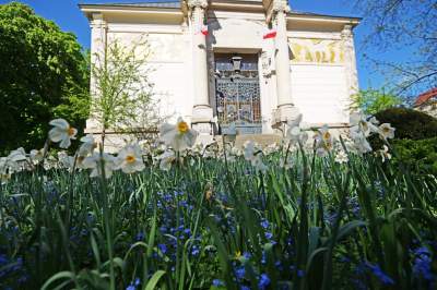 Kraków tonie w kwiatach, prawdopodobnie najładniejsza pora roku w mieście - zdjęcie 27