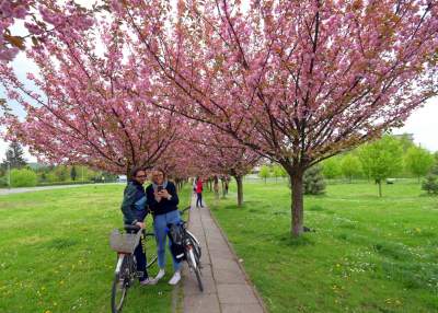 Kto jeszcze nie zrobił sobie zdjęcia w "japońskiej alei"? Nie potrwa to długo - zdjęcie 22