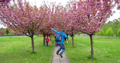 Kto jeszcze nie zrobił sobie zdjęcia w "japońskiej alei"? Nie potrwa to długo - zdjęcie 19