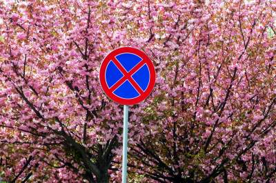 Kto jeszcze nie zrobił sobie zdjęcia w "japońskiej alei"? Nie potrwa to długo - zdjęcie 28