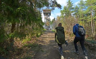 Pomysł na weekendową wycieczkę, nowa wieża widokowa w Beskidzie Wyspowym - zdjęcie 22