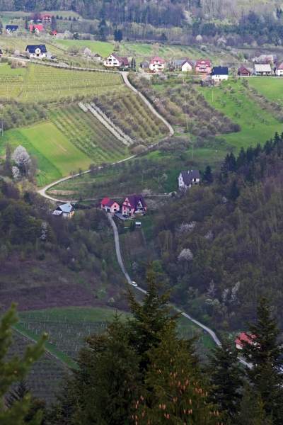 Pomysł na weekendową wycieczkę, nowa wieża widokowa w Beskidzie Wyspowym - zdjęcie 12