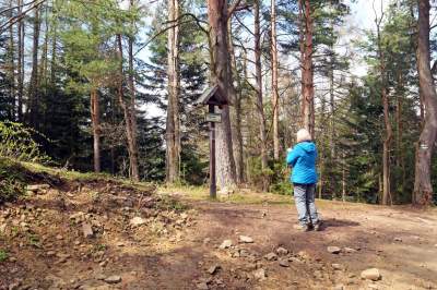 Pomysł na weekendową wycieczkę, nowa wieża widokowa w Beskidzie Wyspowym - zdjęcie 16