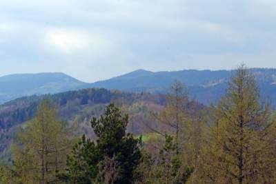 Pomysł na weekendową wycieczkę, nowa wieża widokowa w Beskidzie Wyspowym - zdjęcie 10