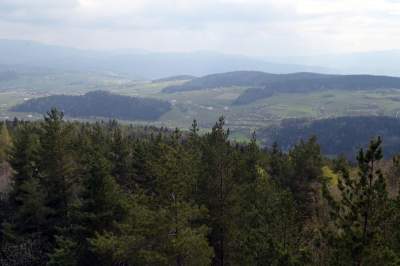 Pomysł na weekendową wycieczkę, nowa wieża widokowa w Beskidzie Wyspowym - zdjęcie 7