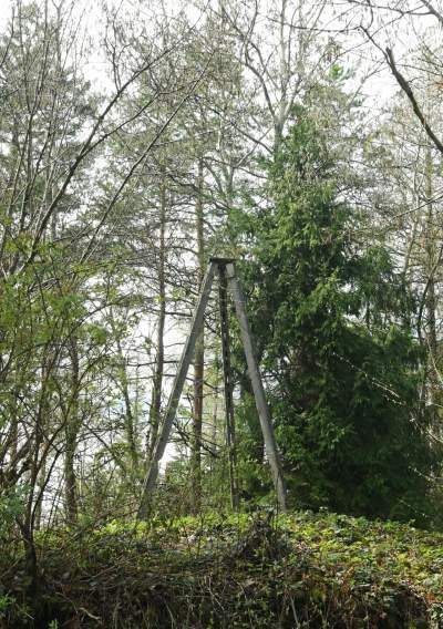 Pomysł na weekendową wycieczkę, nowa wieża widokowa w Beskidzie Wyspowym - zdjęcie 18