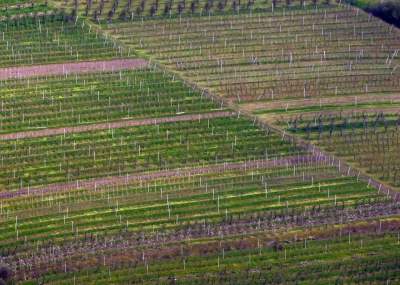 Pomysł na weekendową wycieczkę, nowa wieża widokowa w Beskidzie Wyspowym - zdjęcie 11