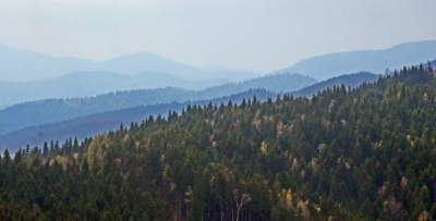 Pomysł na weekendową wycieczkę, nowa wieża widokowa w Beskidzie Wyspowym - zdjęcie 15