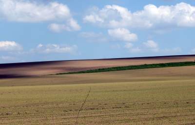Słynna "polna" droga koło Krakowa, ale już bez charakterystycznego drzewa... - zdjęcie 15