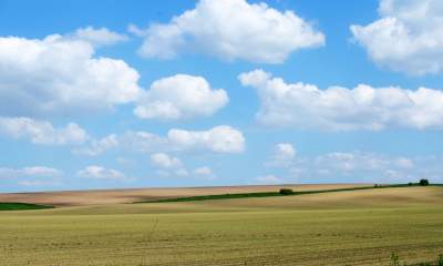 Słynna "polna" droga koło Krakowa, ale już bez charakterystycznego drzewa... - zdjęcie 19