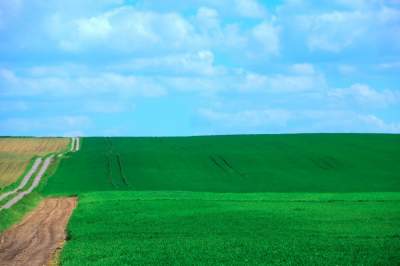Słynna "polna" droga koło Krakowa, ale już bez charakterystycznego drzewa... - zdjęcie 20