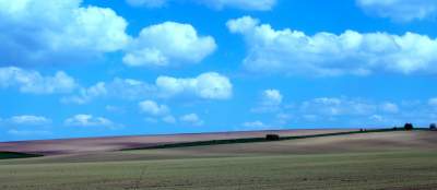 Słynna "polna" droga koło Krakowa, ale już bez charakterystycznego drzewa... - zdjęcie 18