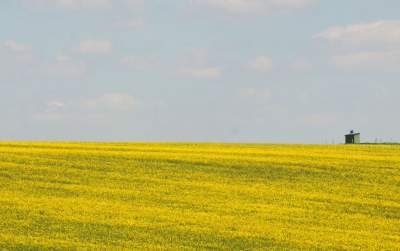 Słynna "polna" droga koło Krakowa, ale już bez charakterystycznego drzewa... - zdjęcie 13