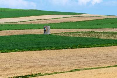 Słynna "polna" droga koło Krakowa, ale już bez charakterystycznego drzewa... - zdjęcie 6