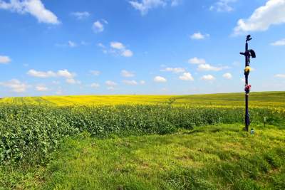 Słynna "polna" droga koło Krakowa, ale już bez charakterystycznego drzewa... - zdjęcie 14