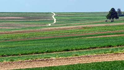 Słynna "polna" droga koło Krakowa, ale już bez charakterystycznego drzewa... - zdjęcie 2