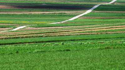Słynna "polna" droga koło Krakowa, ale już bez charakterystycznego drzewa... - zdjęcie 8