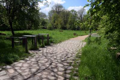 Udany remont "dzikiego" parku, zachowano naturalny charakter - zdjęcie 27