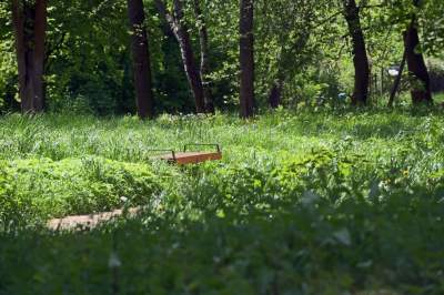 Udany remont "dzikiego" parku, zachowano naturalny charakter - zdjęcie 8