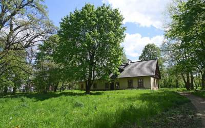 Udany remont "dzikiego" parku, zachowano naturalny charakter - zdjęcie 11