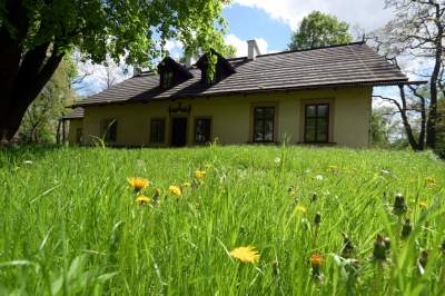 Udany remont "dzikiego" parku, zachowano naturalny charakter - zdjęcie 12