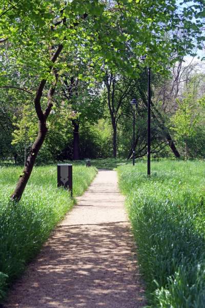 Udany remont "dzikiego" parku, zachowano naturalny charakter - zdjęcie 5