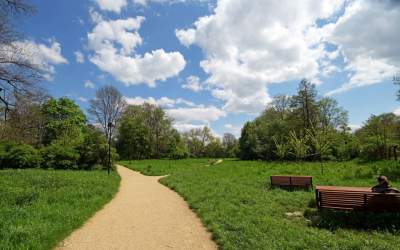 Udany remont "dzikiego" parku, zachowano naturalny charakter - zdjęcie 37