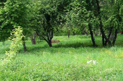 Udany remont "dzikiego" parku, zachowano naturalny charakter - zdjęcie 41
