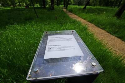 Udany remont "dzikiego" parku, zachowano naturalny charakter - zdjęcie 22