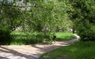 Udany remont "dzikiego" parku, zachowano naturalny charakter - zdjęcie 31