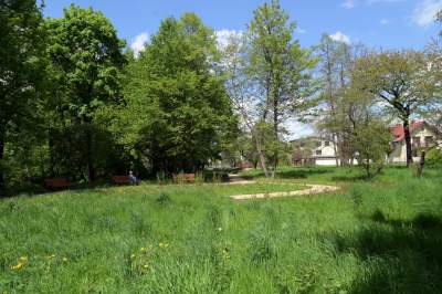 Udany remont "dzikiego" parku, zachowano naturalny charakter - zdjęcie 13