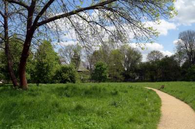 Udany remont "dzikiego" parku, zachowano naturalny charakter - zdjęcie 39