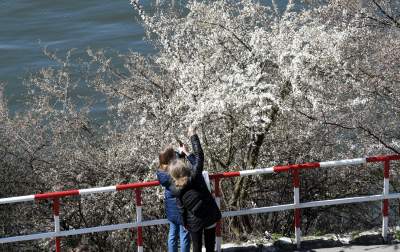 Wiosna w Krakowie poczyna sobie coraz śmielej - zdjęcie 15