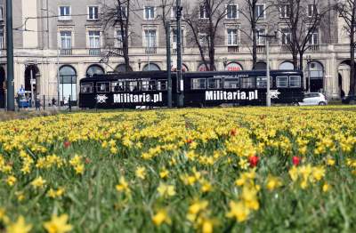 Wiosna w Krakowie poczyna sobie coraz śmielej - zdjęcie 6