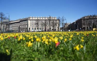Wiosna w Krakowie poczyna sobie coraz śmielej - zdjęcie 3