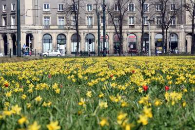 Wiosna w Krakowie poczyna sobie coraz śmielej - zdjęcie 4