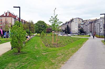Tak zmienia się park Kurdawanów, nowe rośliny, alejki, plac zabaw - zdjęcie 15