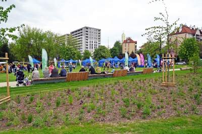 Tak zmienia się park Kurdawanów, nowe rośliny, alejki, plac zabaw - zdjęcie 16