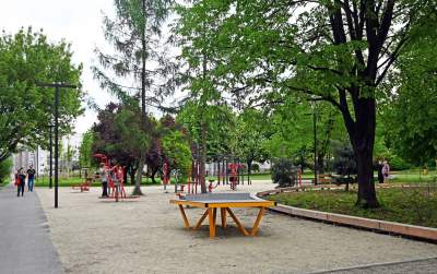 Tak zmienia się park Kurdawanów, nowe rośliny, alejki, plac zabaw - zdjęcie 6