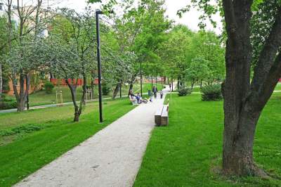 Tak zmienia się park Kurdawanów, nowe rośliny, alejki, plac zabaw - zdjęcie 14