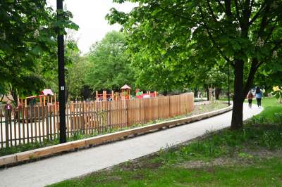 Tak zmienia się park Kurdawanów, nowe rośliny, alejki, plac zabaw - zdjęcie 32