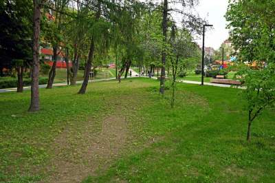 Tak zmienia się park Kurdawanów, nowe rośliny, alejki, plac zabaw - zdjęcie 12