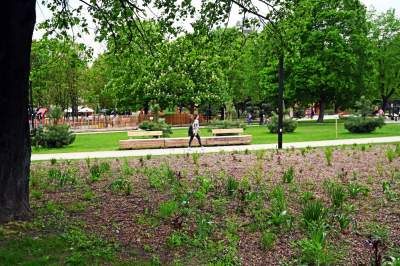 Tak zmienia się park Kurdawanów, nowe rośliny, alejki, plac zabaw - zdjęcie 26