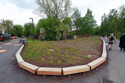 Tak zmienia się park Kurdawanów, nowe rośliny, alejki, plac zabaw - zdjęcie 1